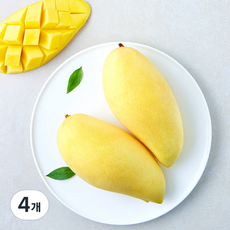 태국 남독마이 망고 2입 XXL, 4개, 1kg