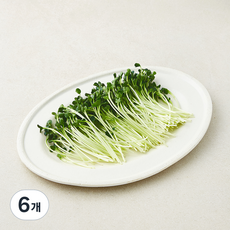 무순, 6개, 150g