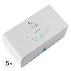 데이퍼센트 1/3 스펀지 패드, 5개, 80개입