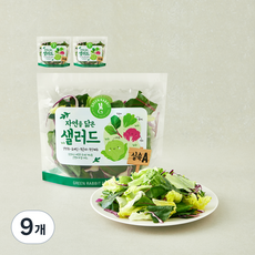 그린래빗 자연을 닮은 샐러드 실속A, 100g, 9개