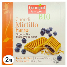 제르미널 유기농 블루베리 바, 200g, 2개