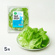 그린래빗 무농약 인증 버터헤드레터스, 100g, 5개