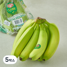 델몬트 덜익은 바나나, 1,2kg 내외, 5박스