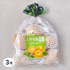 나주 GAP 인증 당도선별 알뜰배 3~6입, 3kg, 3개