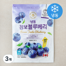 점보블루베리 (냉동), 3개, 500g