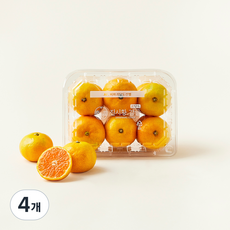 고당도 감귤, 500g, 4개