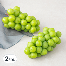 프레시탐탐 상주GAP 당도산별 샤인머스켓, 1.2kg(2입), 2박스