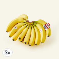 돌 베트남산 바나나, 3개, 1.9kg