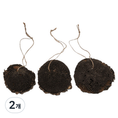 모로 해바라기 헤드 간식 3p, 70g, 2개