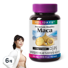홀리데이즈 마카 45g, 90정, 6개