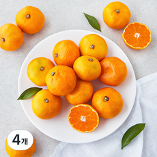 곰곰 당도선별 10brix 감귤, 800g(소과), 4개