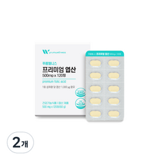 푸름웰니스 프리미엄 엽산 60g, 2개, 120정