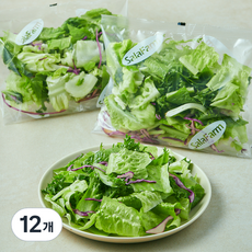 샐러팜 유러피안믹스 샐러드, 80g, 12개