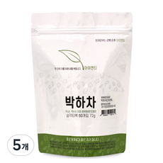 아이앤티 박하차 삼각 티백 60p, 1.2g, 60개입, 5개