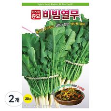 비빔열무 씨앗 20g, 2개