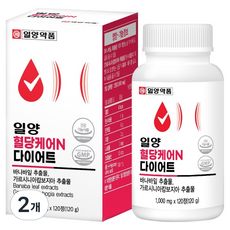 일양약품 혈당케어 N 다이어트, 120정, 2개
