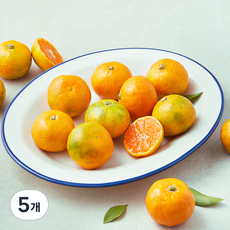 곰곰 당도선별 11brix 한입 감귤, 500g, 5개