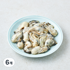 갯마을 남해안 이력제 가열조리용 봉지굴 (냉장), 6개, 180g