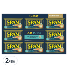 스팸 라이트 12호 세트 + 쇼핑백, 2세트