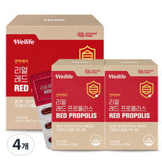 대상웰라이프 리얼 레드프로폴리스 24g, 30정, 4개