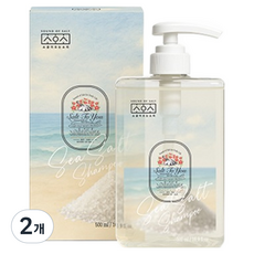 소금이오는소리 소금샴푸, 2개, 500ml