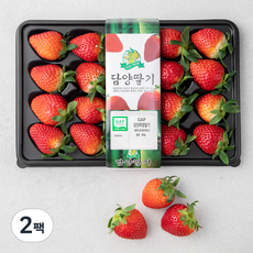 GAP인증 담양 죽향딸기, 500g, 2팩