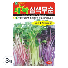 아람종묘 새싹 삼색무순 씨앗 30g, 3개