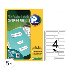 프린텍 정부문서화일용 라벨 V4320-50, 20칸, 250개