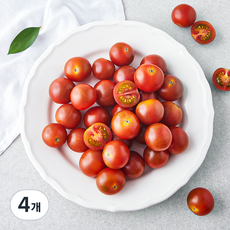 온리팜 GAP 인증 네뷸라 토마토, 500g, 4개