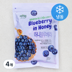 자연원 허니 블루베리 (냉동), 500g, 4개