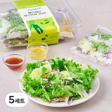팜에이트 매일채움 하루한끼 샐러드 채소믹스 81g x 3개입 + 플랜트 베이스드 트러플 드레싱 20g x 2개입 + 제로팻 라임유자 드레싱 20g 세트, 303g, 5세트