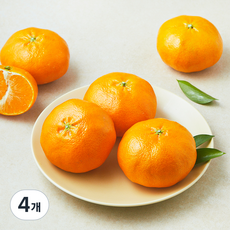 블랙홀 당도선별 레드향, 4개, 1.2kg(중과, 4~5입)