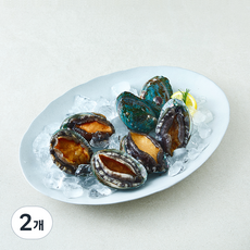 완도맘 활전복 특 (냉장), 2개, 500g(7마리)