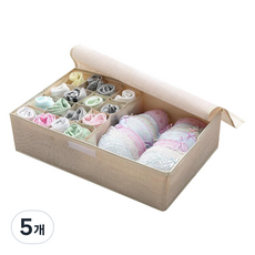 市場感性17格內衣收納箱 綠色, 淺褐色, 5個