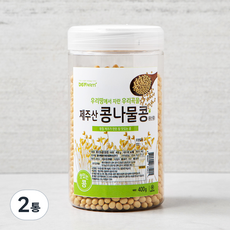 대구농산 제주산 콩나물콩 풍산콩, 400g, 2통