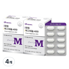 로니웰 파워 마그네슘 400, 4개, 60정