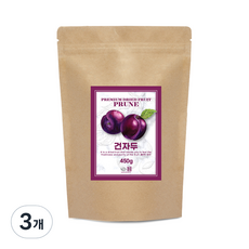 견과공장 건자두, 450g, 3개