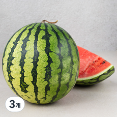 산지직송 수토마켓 못난이수박, 3kg이상, 3개
