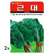 아람종묘 청근대 씨앗 500p, 2개 2개