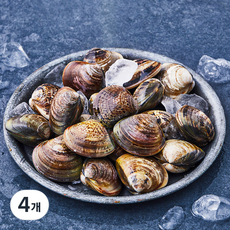 산지직송 바다림 생물 백합 (냉장), 600g, 4개