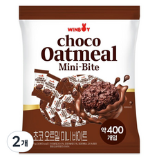 윈보이 초코 오트밀 미니 바이트, 1kg, 2개