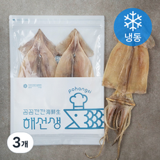 해선생 포항시 인증 원양산 잘 마른 건오징어 2미 (냉동), 190g, 3개