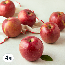 가족 못난이 감홍사과, 4개, 1.5kg(중과, 6~7입)