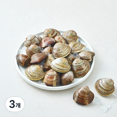 바다림 중국산 생물 백생합 조개, 3개, 800g