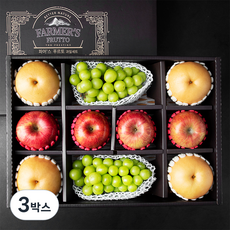 하이프루츠 사과 4입 + 배 4입 + 샤인머스켓 2입 혼합선물세트 1호, 5kg, 3박스