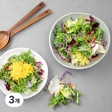 레드 채소믹스, 700g, 3개