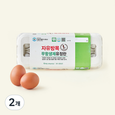 무항생제 인증 자유방목 유정란 520g, 2개, 10구