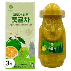제주앤팜 풋귤차, 570g, 3개, 1개입