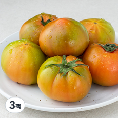 곰곰 친환경 대저토마토, 900g, 3팩