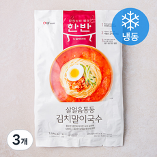 한반 살얼음동동 김치말이국수 2인분 (냉동), 1.046kg, 3개